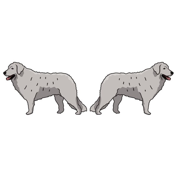 Signmission Kuvaszok Dog Decal, Dog Lover Decor Vinyl Sticker D-24-Kuvaszok - main